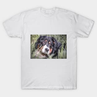 Bernie dog gift T-Shirt